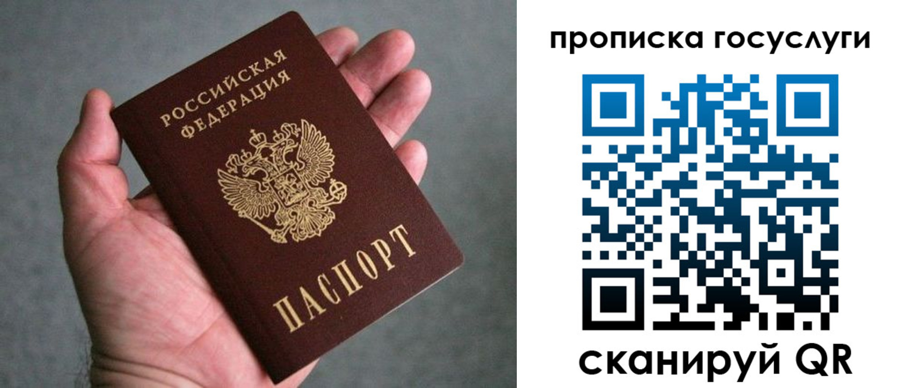 прописка 2025 в Тынде
